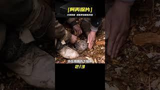 身長4米，體重超1噸的猛虎 口撕鬼子百人士兵#大虎#好劇推薦 #电影 #电影解说 #影视 #影视解说 #剧情