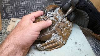 Fossil crab - removing ALL the rock [~12 million years old]