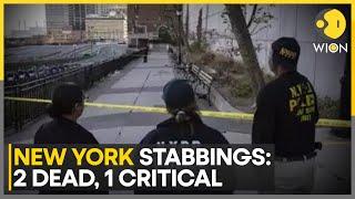 New York Stabbings: 2 Killed & 1 Injured In New York Knife Attack, Suspect Arrested | World News