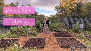 This Looks So Much Better!! Allotment Vlog  Ep.38 