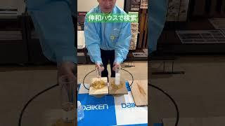 奥州市　住宅　ダイケン　MDF野地板 #shorts
