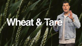 The Parable of the Weeds Explained | Wheat & Tare