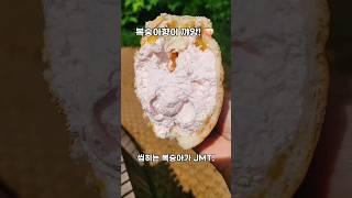 신상 편의점 크림빵 도라방스 브레디크 납작복숭아 생크림빵 #shorts