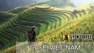 Khám phá nét đẹp văn hóa cà phê Việt Nam | Lyon Coffee