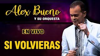 ALEX BUENO Y SU ORQUESTA - SI VOLVIERAS (EN VIVO)