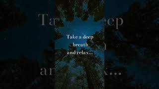 Nature's melody#takeadeepbreath#relax #nature#naturetherapy#naturesmusic#hearthenature#findyourpeace