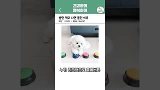 밥만 먹고 나면 졸린이유 | 오늘의 건강 꿀팁! #건강정보