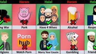 Halal vs Haram In Islam Religion