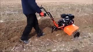 Glebogryzarka spalinowa Hortmasz HGS 6580 L