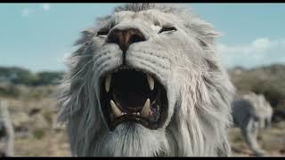 מלך האריות: מופאסה טריילר חדש מדובב | Lion King: Mufasa New Trailer