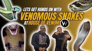 GETTING HANDS ON with VENOMOUS snakes at HOUSE OF VENOM!