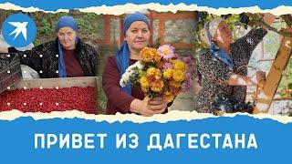 55-летняя блогерша из Дагестана собирает миллионы просмотров