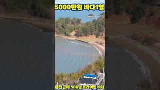 5000만원 바닷가 1열 500평 주택 ! 완전 급매 ~~