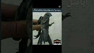 #prophet #paigambar #hazrat Mohammed sahab ka saman Mubarak #subhanallah #shortsfeed #viralvideo