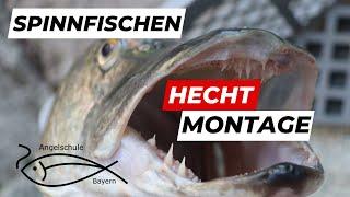 Spinnfischen auf Hecht: Die beste Montage!