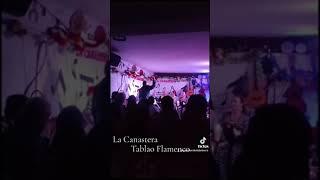 ZAMBOMBA FLAMENCA EN LA CANASTERA(4)