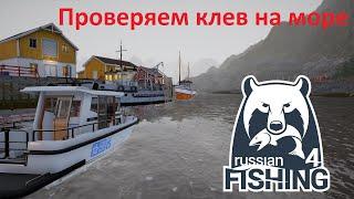 Проверяем клев на море. Стрим --  Хитрый Ёрш