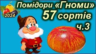 Томати Гноми. ОГЛЯД 57 сортів. Ч.3