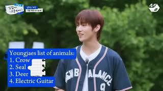 Youngjae imitating animals and Hanjin not having it (from The Mnet Summer Beat showcase)