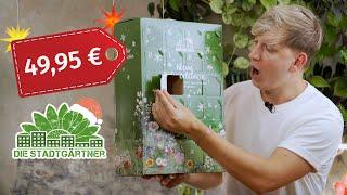 Überteuertes Saatgut?  Ich teste den Adventskalender von Die Stadtgärtner für 50 €!