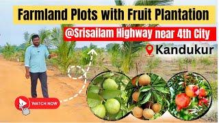 Farmland  Plots @Srisailam Highway near Fourth City | Farm Plots in kandukur