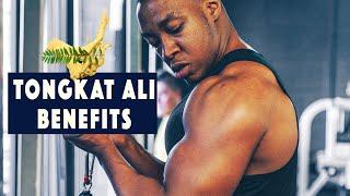 4 BENEFITS OF TONGKAT ALI (& concerns) | Testosterone *Vitaliser for men & women