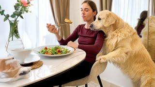 What does dinner look like when you have a Golden Retriever