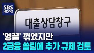 '영끌' 꺾였지만…2금융 쏠림에 추가 규제 검토 / SBS