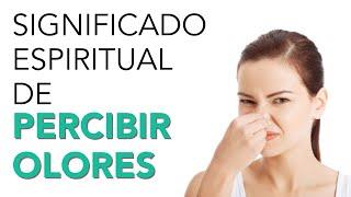 Significado ESPIRITUAL de PERCIBIR OLORES ¡Energías elevadas!