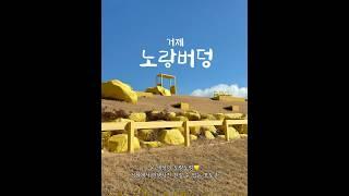거제에서 만난 온통 노랑노랑한 세상 #거제도 #거제 #korea #yellow #travel #exotic #colorful #geoje #travelkorea