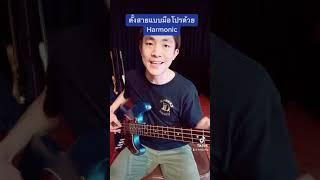 ตั้งสายแบบมือโปรด้วย Harmonic #ครูหลุยส์สอนwalkingbass #basslesson