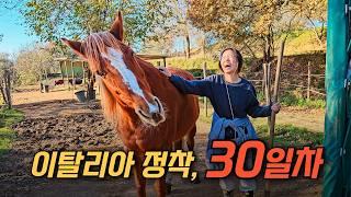 이탈리아에서 말 9마리와 함께 살고있는 한국인 커플 이야기