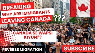 Canada's Reverse Migration / Canada se wapsi kiyun??