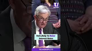 Federal chief hints for interest rates hike