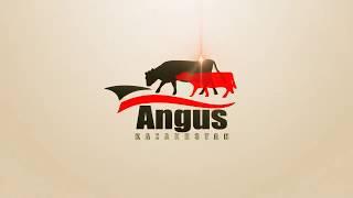 Angus Kazakhstan