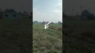 "450 Gaj Plot for Sale in Horrowala Selaqui | 25 Ft Road | Prime Location | 15000 Per Gaj"