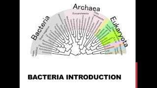 An introduction to bacteria