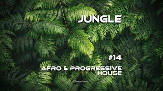 JUNGLE Afro & Progressive House Mix Vol. 14 - Sasha Curcic