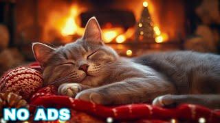 Calming music for Cats  Cozy Autumn Ambience no ads | Cat music for anxiety | Piano cat music