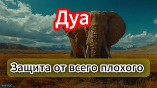 Сильная дуа для защиты  - dua to protect the family