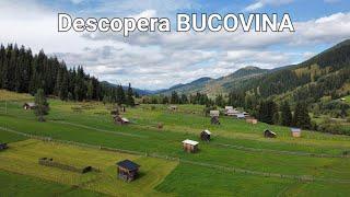 Descopera Bucovina