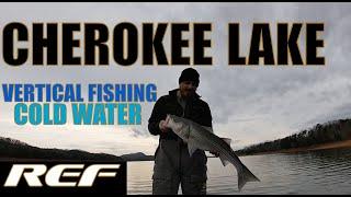 CHEROKEE LAKE: Damiki Rig Fishing For Deep Winter Bass