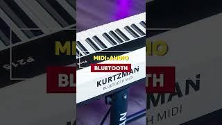 KURTZMAN P215||PIANO ĐIỆN TÍCH HỢP BLUETOOTH MIDI - AUDIO, TOUCH 4 LEVELS, 162 POLYPHONY, 128 VOICE!