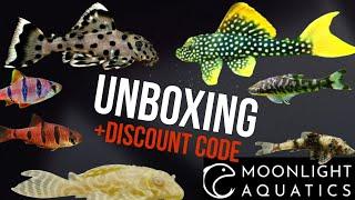 Pleco & Otocinctlus Unboxing! THE BEST PRICED RARE & ODDBALL FISH Thanks to Moonlight Aquatics.