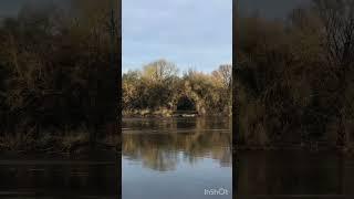 Москва река сейчас.Район Крылатское.