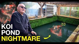 Saving a koi pond from disaster - Koi SOS!