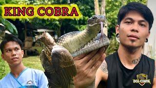 ANG RASON KUNG BAKIT TAYO NADIDISGRASYA NG KING COBRA!! #BANAKON #KingCobra #DavaoCity #CobraTeam