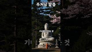 기다림이 주는 것#부처님말씀 #부처님의가르침 #불교명언