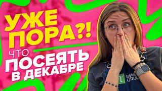 ЧТО ПОСЕЯТЬ В ДЕКАБРЕ И СЭКОНОМИТЬ?