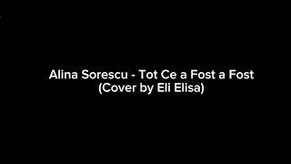 Eli Elisa - Tot Ce a Fost a Fost (Cover @AlinaSorescuOficial) | Lyric Video